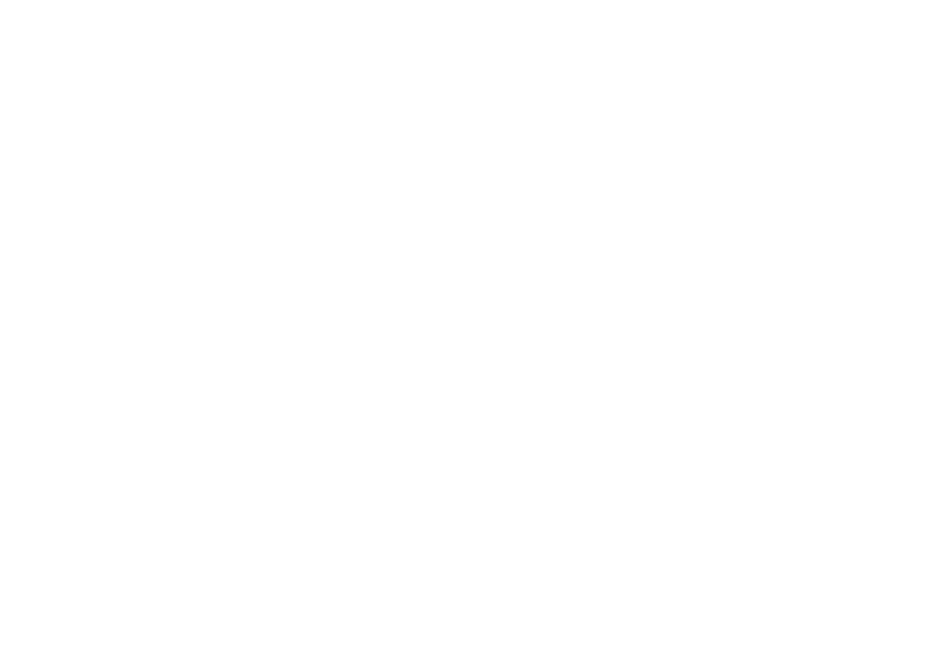 LOGO FIAT BLANCO